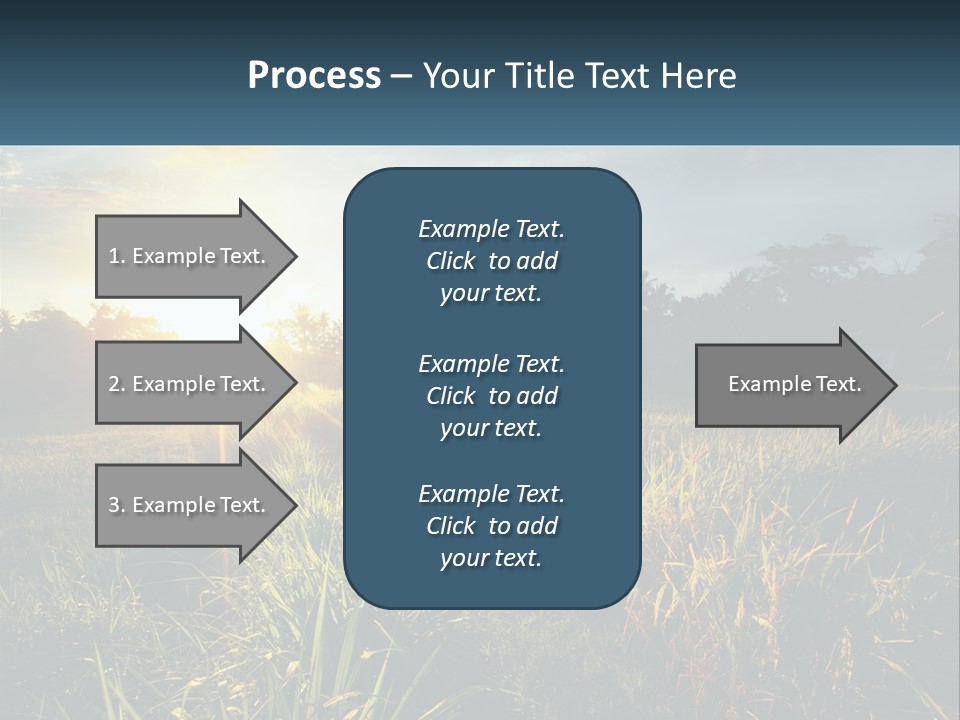 A Field Of Grass With The Sun Setting In The Background PowerPoint Template