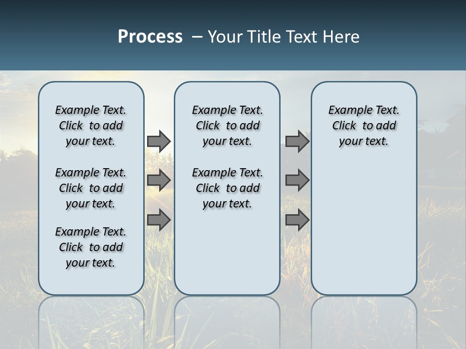 A Field Of Grass With The Sun Setting In The Background PowerPoint Template