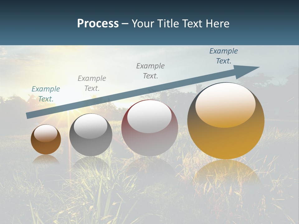 A Field Of Grass With The Sun Setting In The Background PowerPoint Template