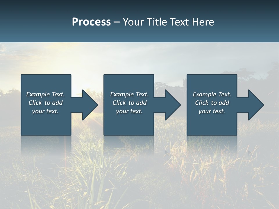 A Field Of Grass With The Sun Setting In The Background PowerPoint Template