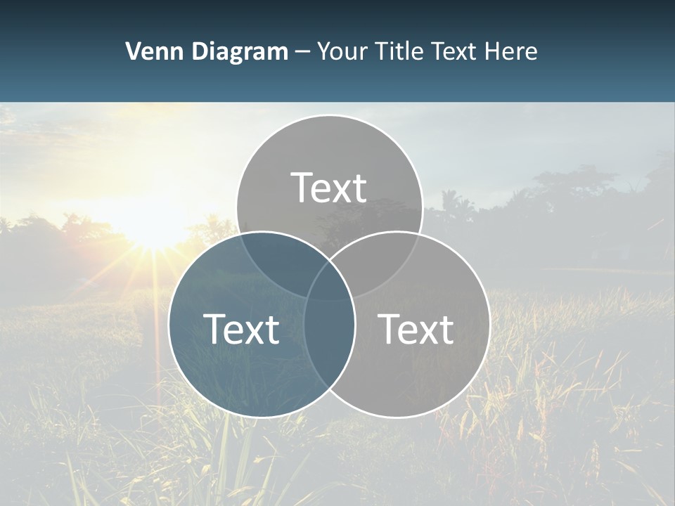 A Field Of Grass With The Sun Setting In The Background PowerPoint Template