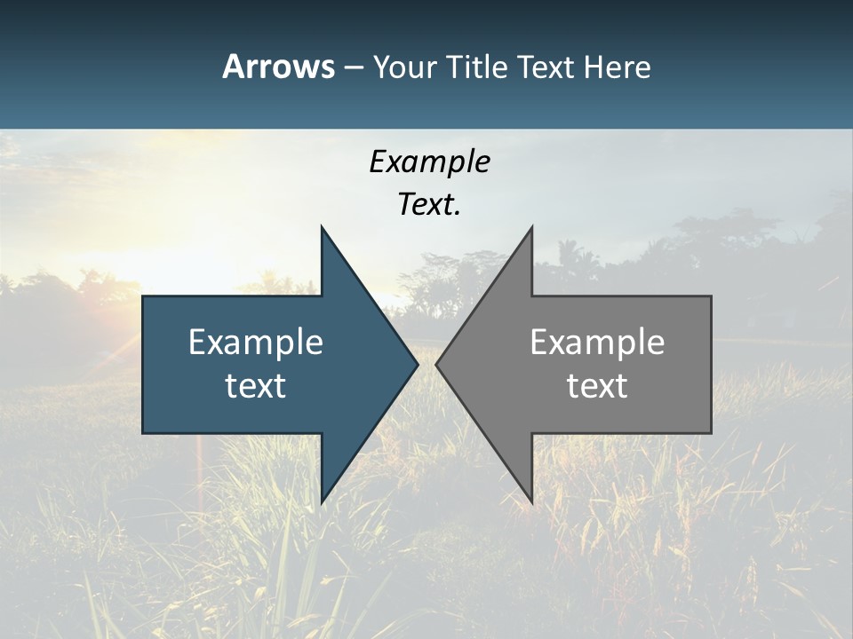 A Field Of Grass With The Sun Setting In The Background PowerPoint Template