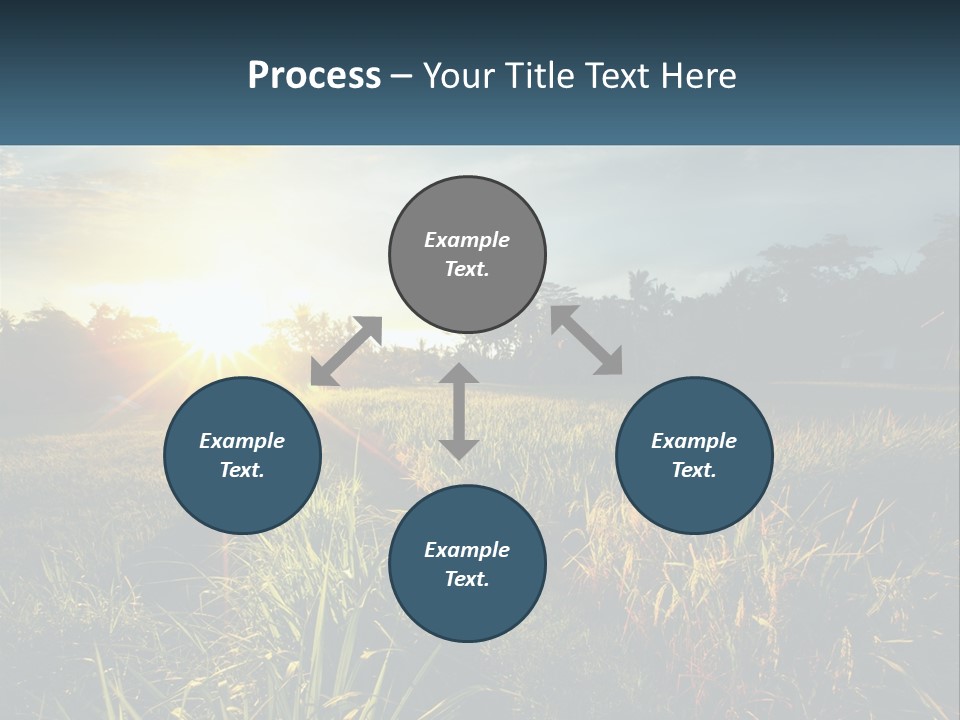 A Field Of Grass With The Sun Setting In The Background PowerPoint Template