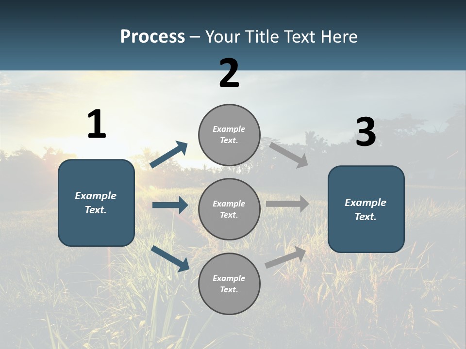 A Field Of Grass With The Sun Setting In The Background PowerPoint Template