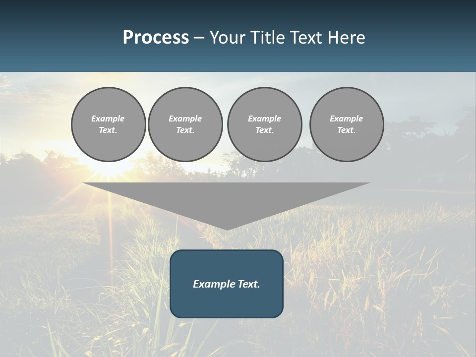 A Field Of Grass With The Sun Setting In The Background PowerPoint Template