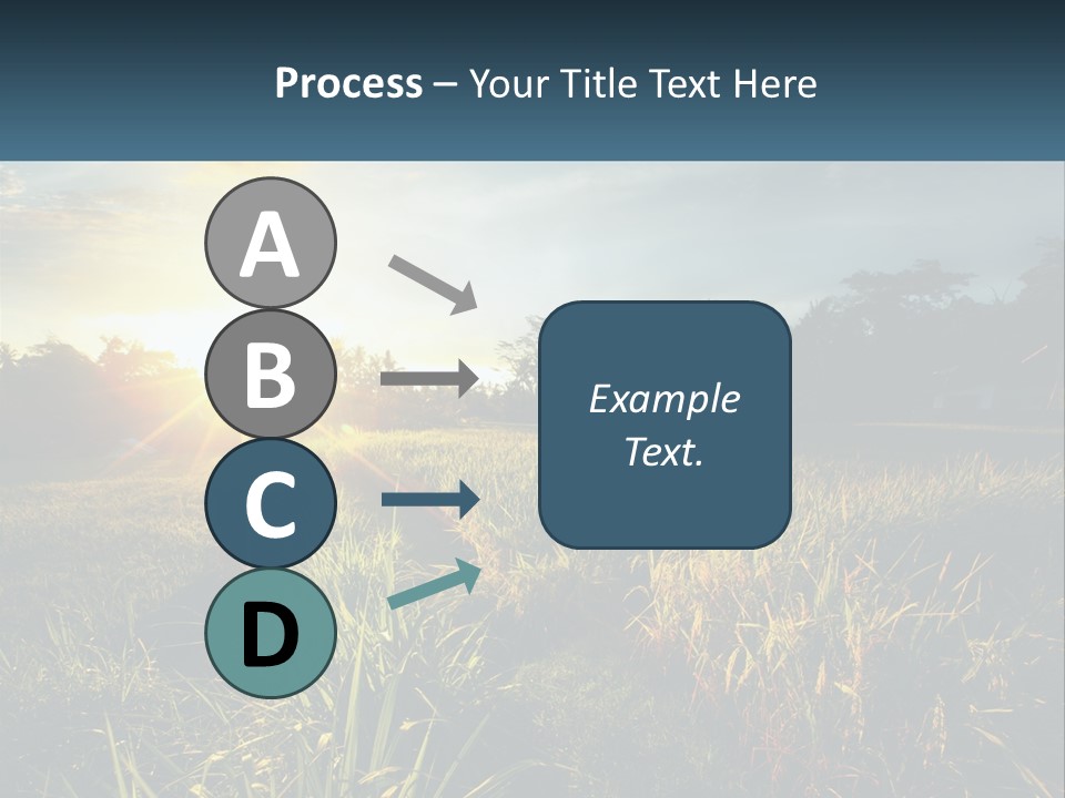 A Field Of Grass With The Sun Setting In The Background PowerPoint Template