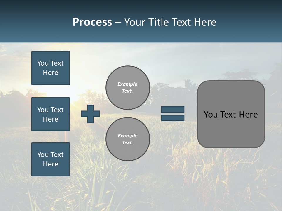 A Field Of Grass With The Sun Setting In The Background PowerPoint Template