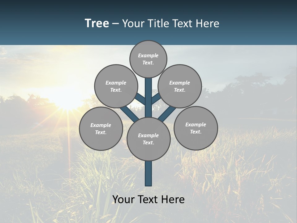 A Field Of Grass With The Sun Setting In The Background PowerPoint Template