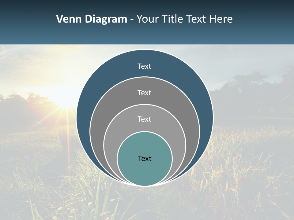 A Field Of Grass With The Sun Setting In The Background PowerPoint Template