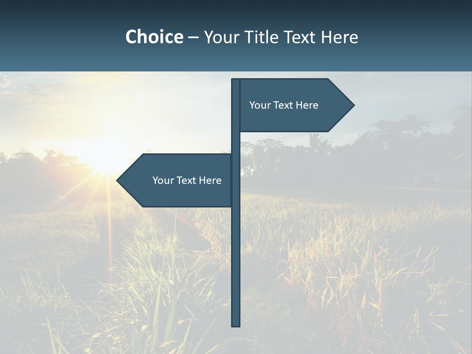 A Field Of Grass With The Sun Setting In The Background PowerPoint Template