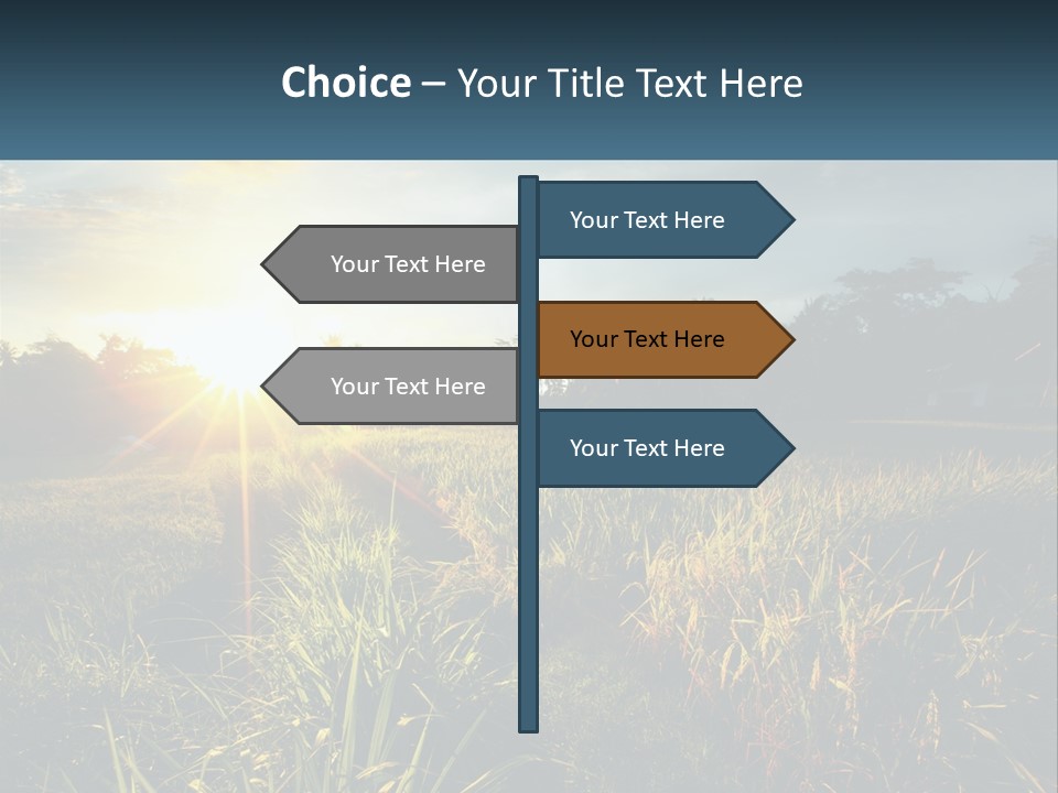 A Field Of Grass With The Sun Setting In The Background PowerPoint Template