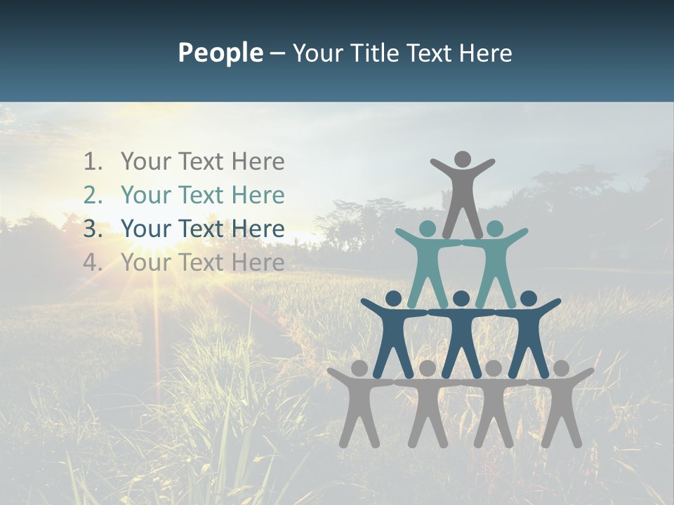 A Field Of Grass With The Sun Setting In The Background PowerPoint Template