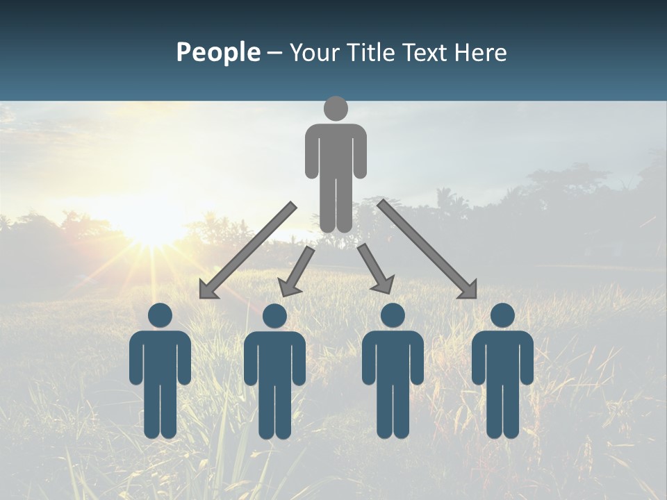 A Field Of Grass With The Sun Setting In The Background PowerPoint Template