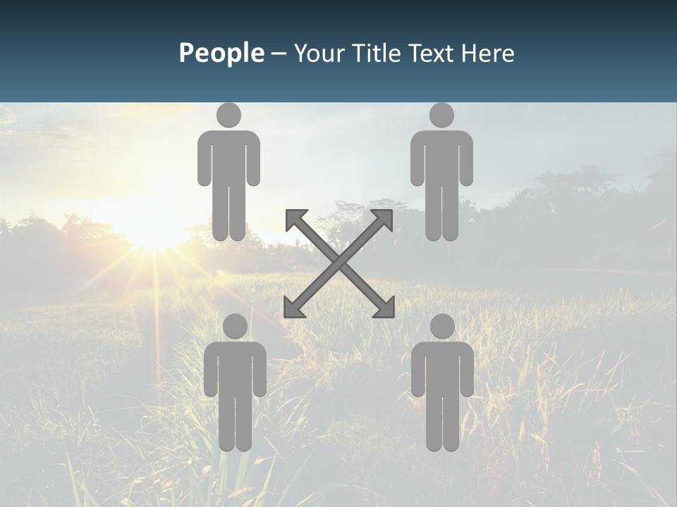 A Field Of Grass With The Sun Setting In The Background PowerPoint Template