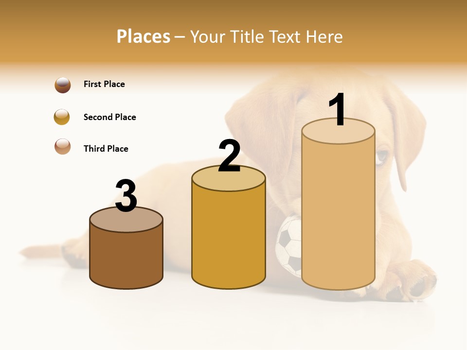 A Puppy Holding A Soccer Ball In His Mouth PowerPoint Template