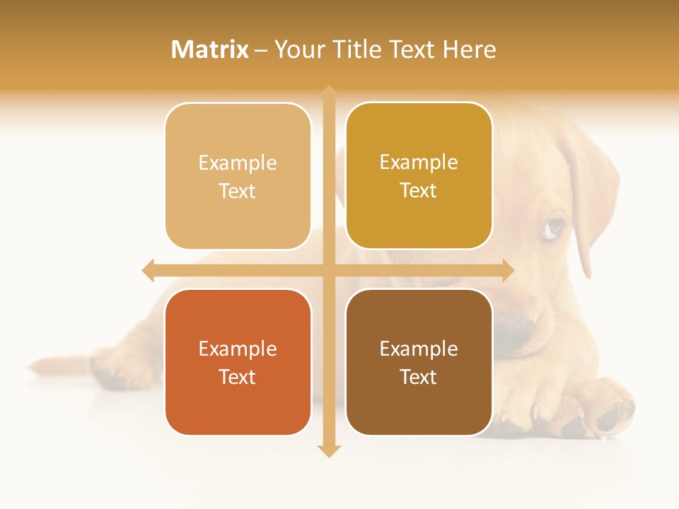 A Puppy Holding A Soccer Ball In His Mouth PowerPoint Template