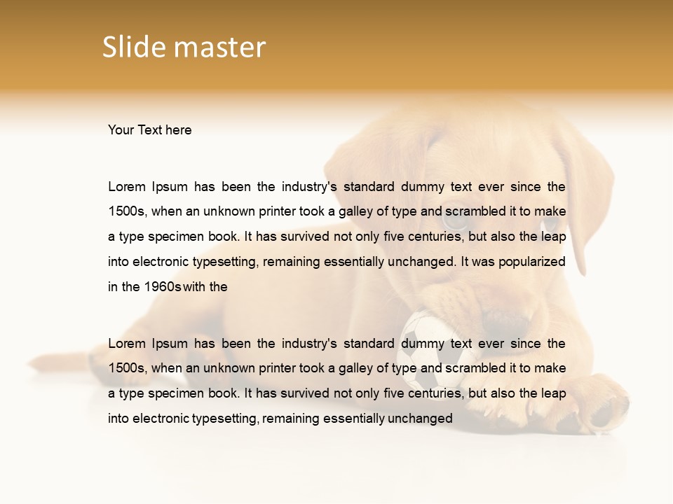 A Puppy Holding A Soccer Ball In His Mouth PowerPoint Template