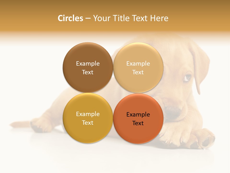 A Puppy Holding A Soccer Ball In His Mouth PowerPoint Template
