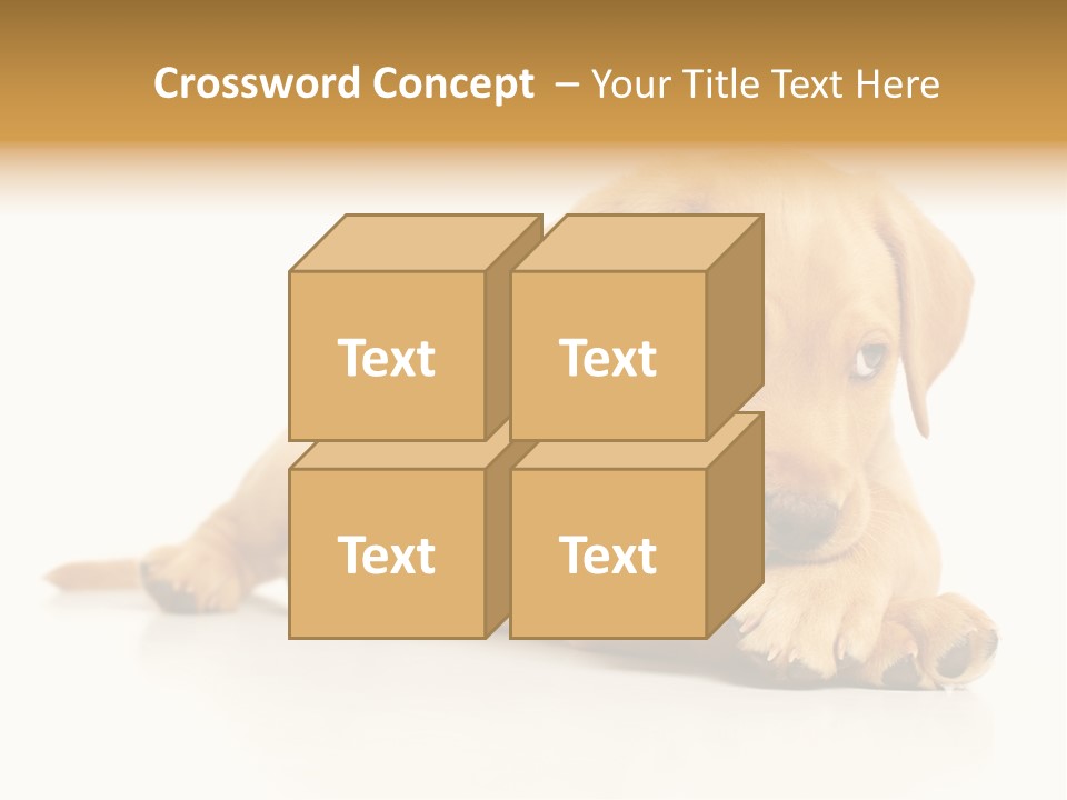 A Puppy Holding A Soccer Ball In His Mouth PowerPoint Template