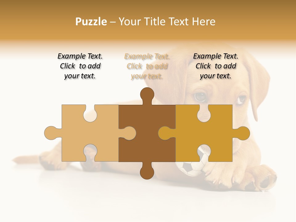 A Puppy Holding A Soccer Ball In His Mouth PowerPoint Template