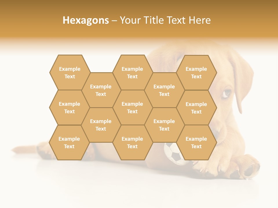 A Puppy Holding A Soccer Ball In His Mouth PowerPoint Template