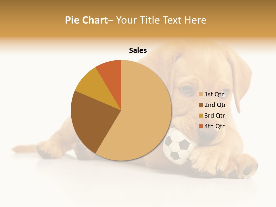 A Puppy Holding A Soccer Ball In His Mouth PowerPoint Template