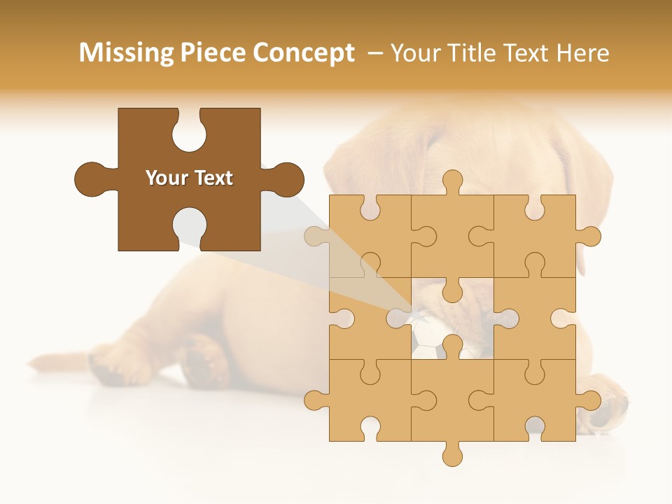 A Puppy Holding A Soccer Ball In His Mouth PowerPoint Template