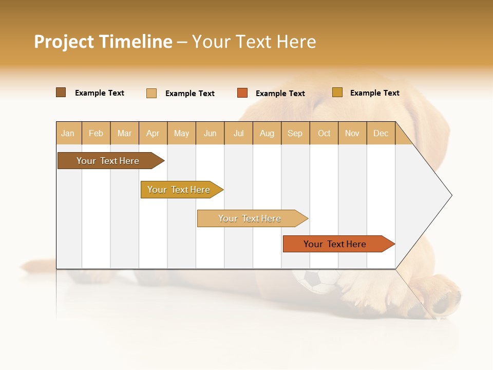 A Puppy Holding A Soccer Ball In His Mouth PowerPoint Template