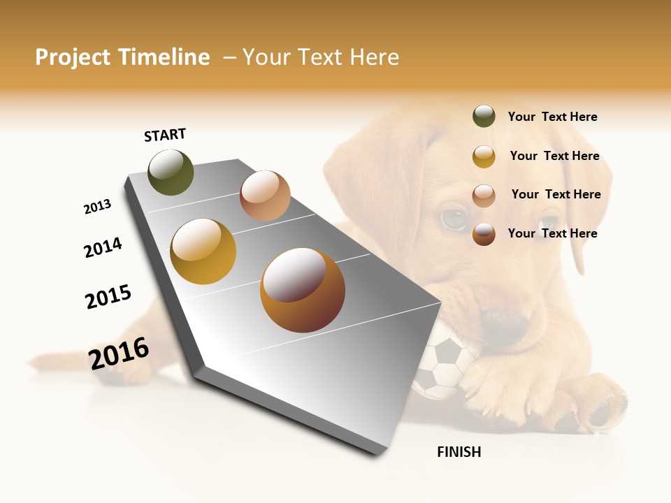 A Puppy Holding A Soccer Ball In His Mouth PowerPoint Template