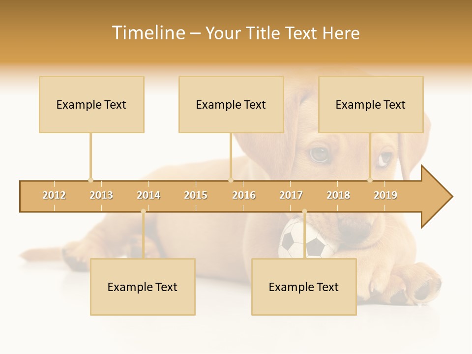 A Puppy Holding A Soccer Ball In His Mouth PowerPoint Template