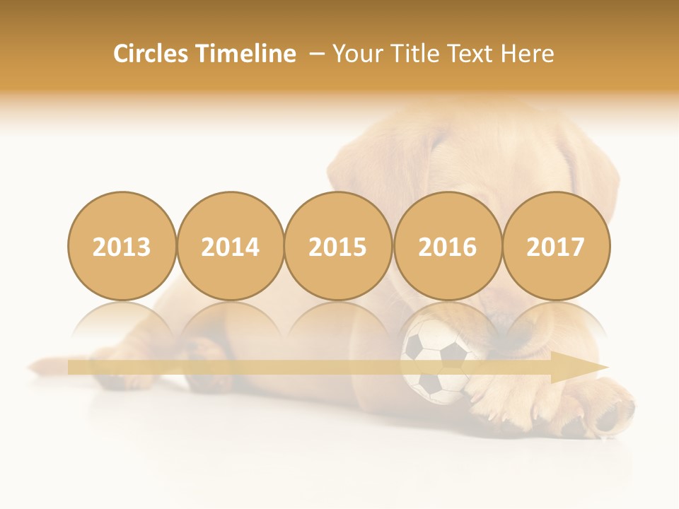 A Puppy Holding A Soccer Ball In His Mouth PowerPoint Template