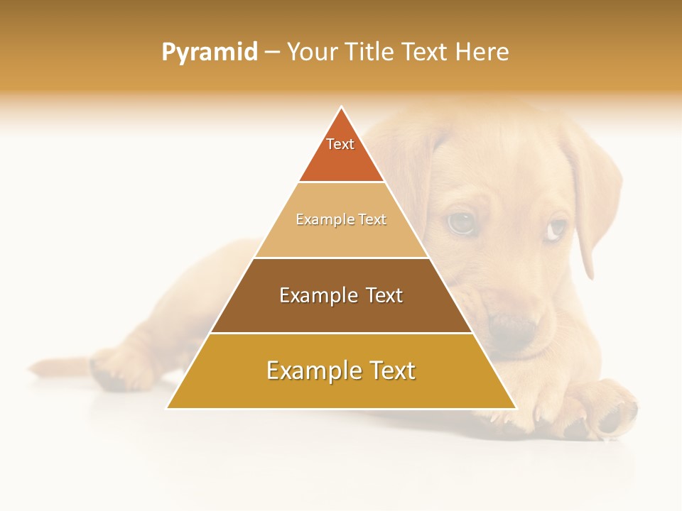 A Puppy Holding A Soccer Ball In His Mouth PowerPoint Template