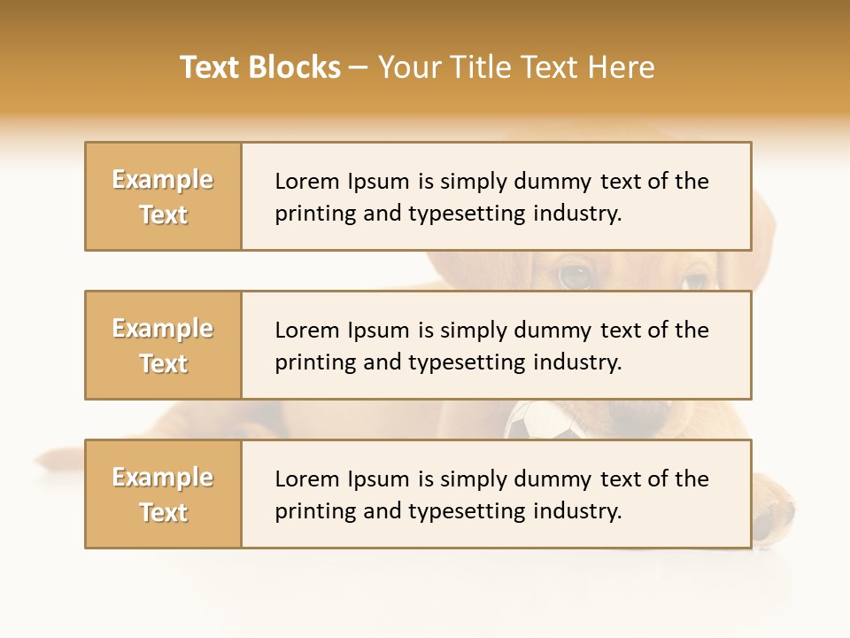 A Puppy Holding A Soccer Ball In His Mouth PowerPoint Template