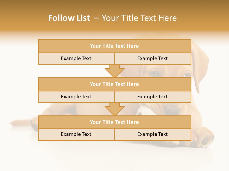 A Puppy Holding A Soccer Ball In His Mouth PowerPoint Template