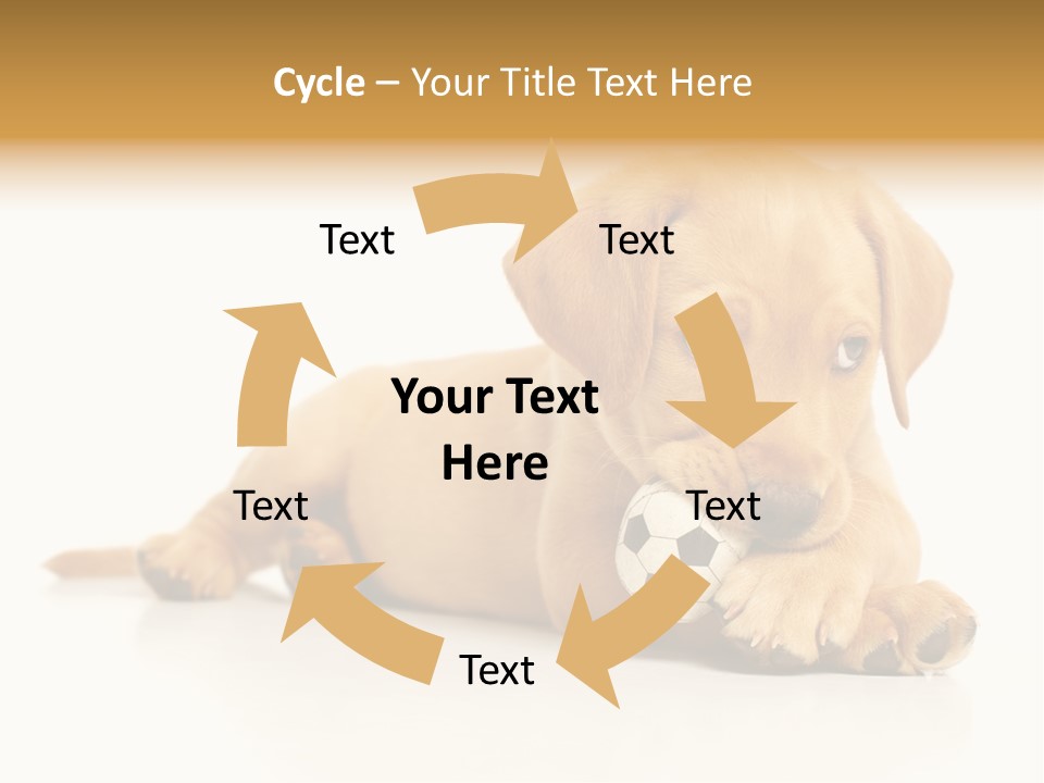 A Puppy Holding A Soccer Ball In His Mouth PowerPoint Template