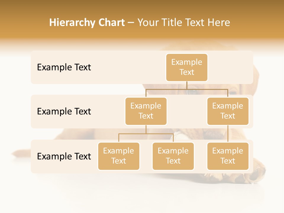 A Puppy Holding A Soccer Ball In His Mouth PowerPoint Template