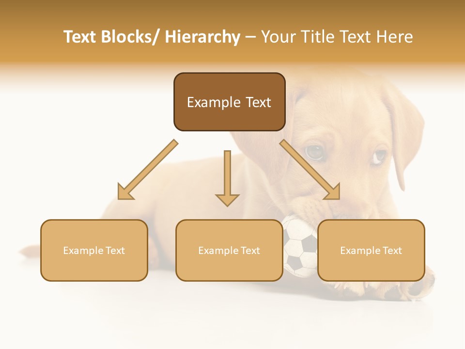 A Puppy Holding A Soccer Ball In His Mouth PowerPoint Template