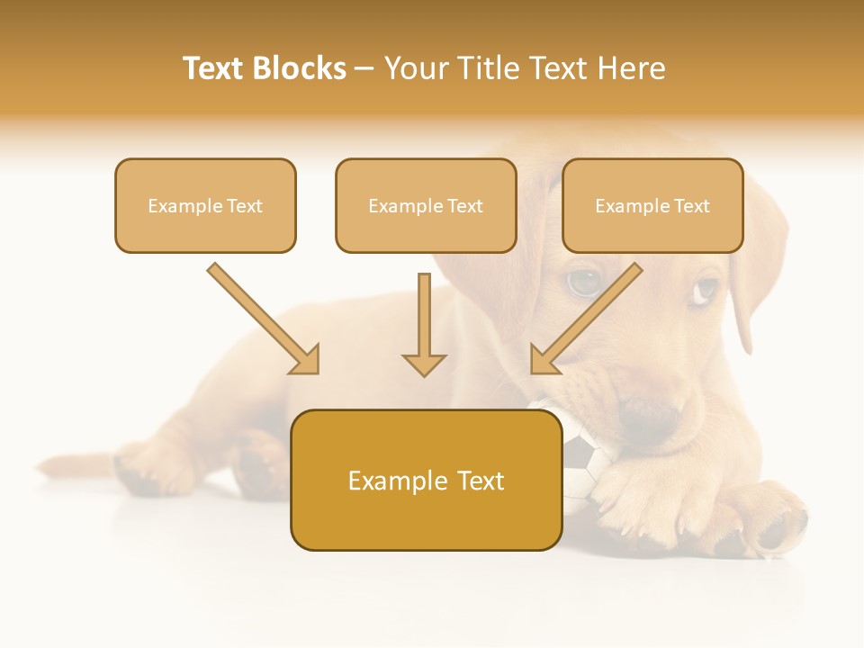A Puppy Holding A Soccer Ball In His Mouth PowerPoint Template