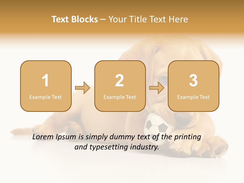 A Puppy Holding A Soccer Ball In His Mouth PowerPoint Template