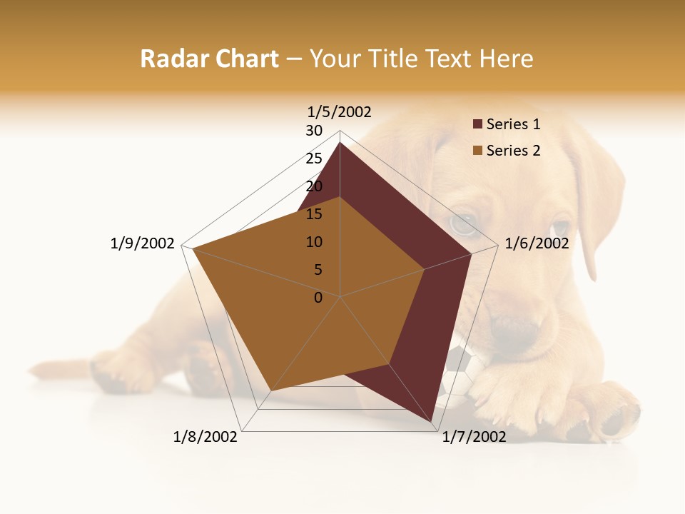 A Puppy Holding A Soccer Ball In His Mouth PowerPoint Template