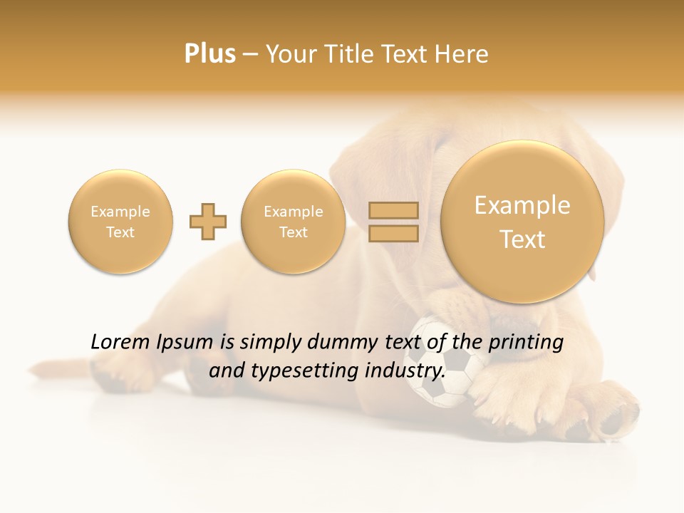 A Puppy Holding A Soccer Ball In His Mouth PowerPoint Template