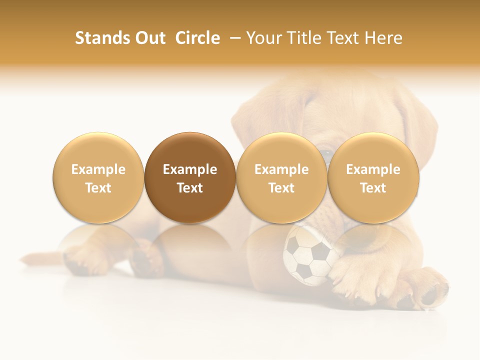 A Puppy Holding A Soccer Ball In His Mouth PowerPoint Template