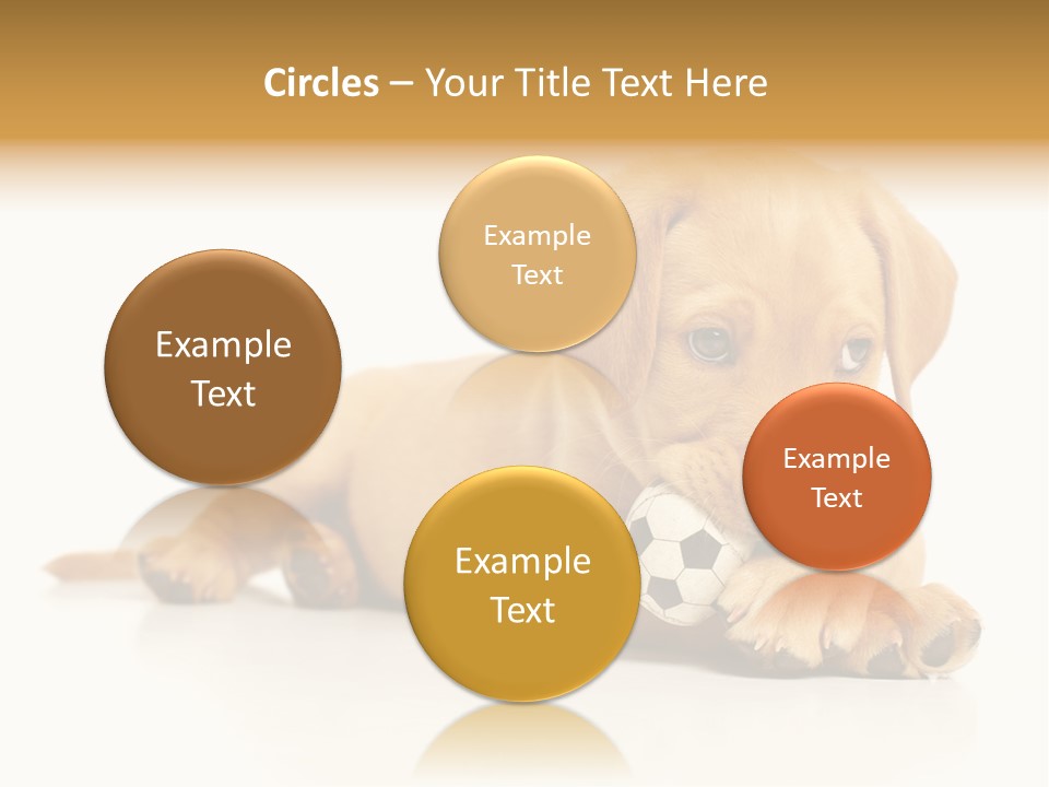 A Puppy Holding A Soccer Ball In His Mouth PowerPoint Template