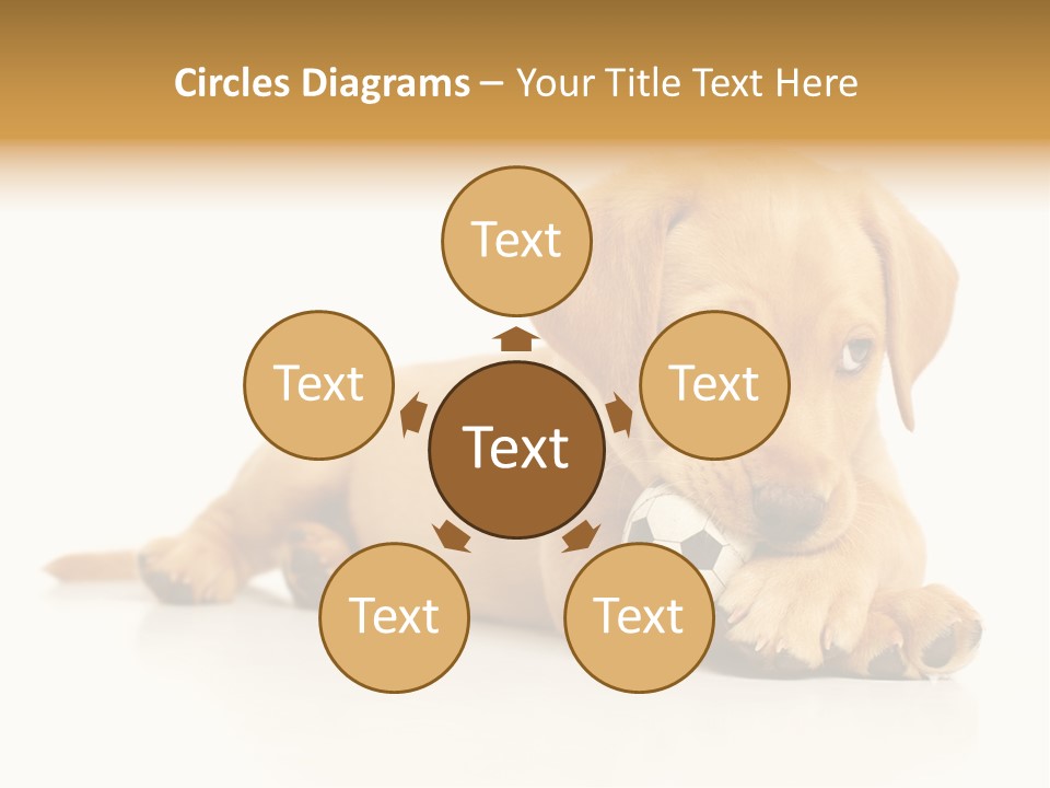 A Puppy Holding A Soccer Ball In His Mouth PowerPoint Template