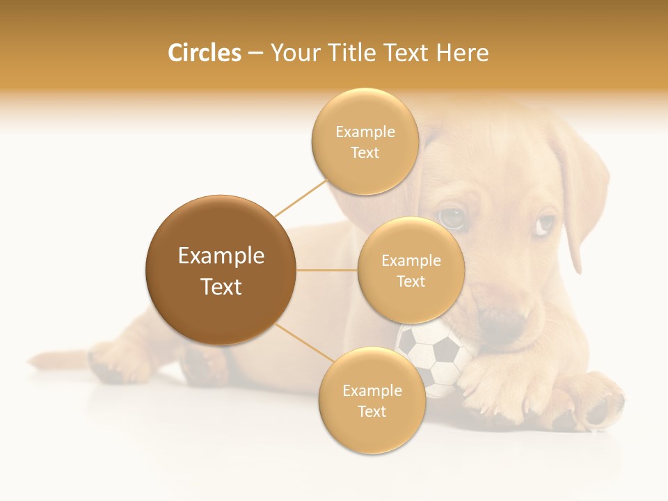 A Puppy Holding A Soccer Ball In His Mouth PowerPoint Template