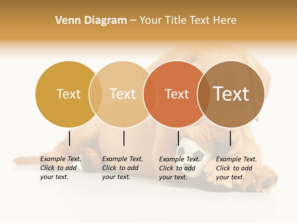 A Puppy Holding A Soccer Ball In His Mouth PowerPoint Template