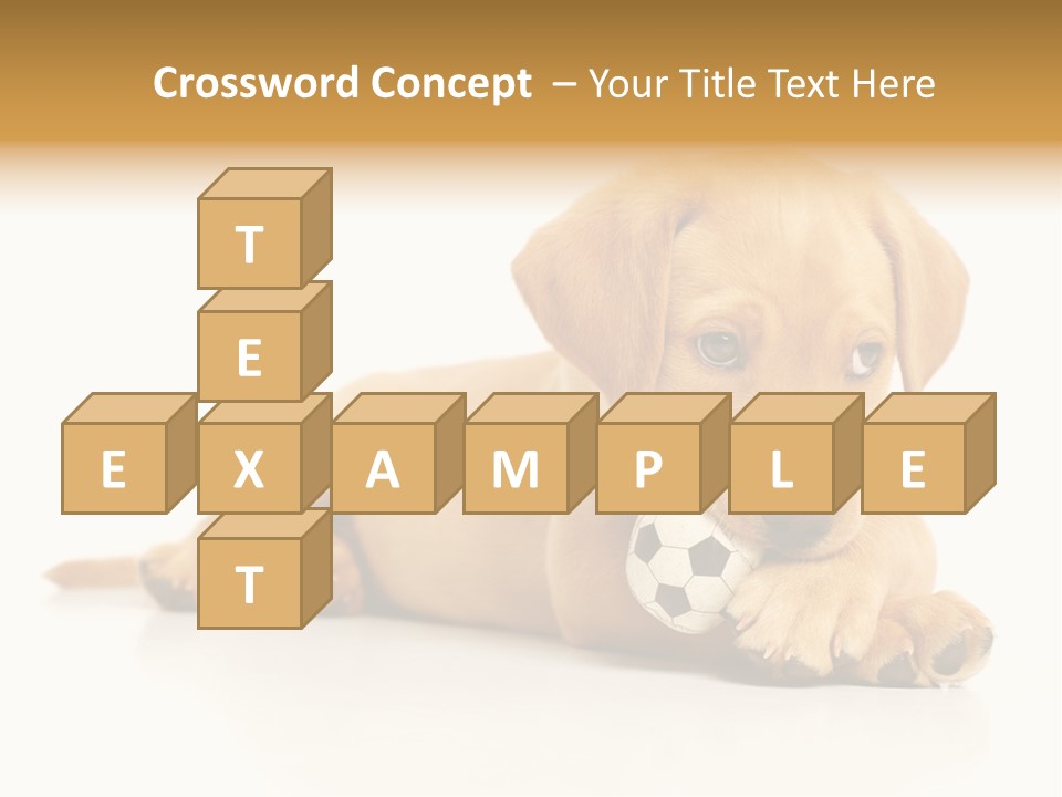 A Puppy Holding A Soccer Ball In His Mouth PowerPoint Template