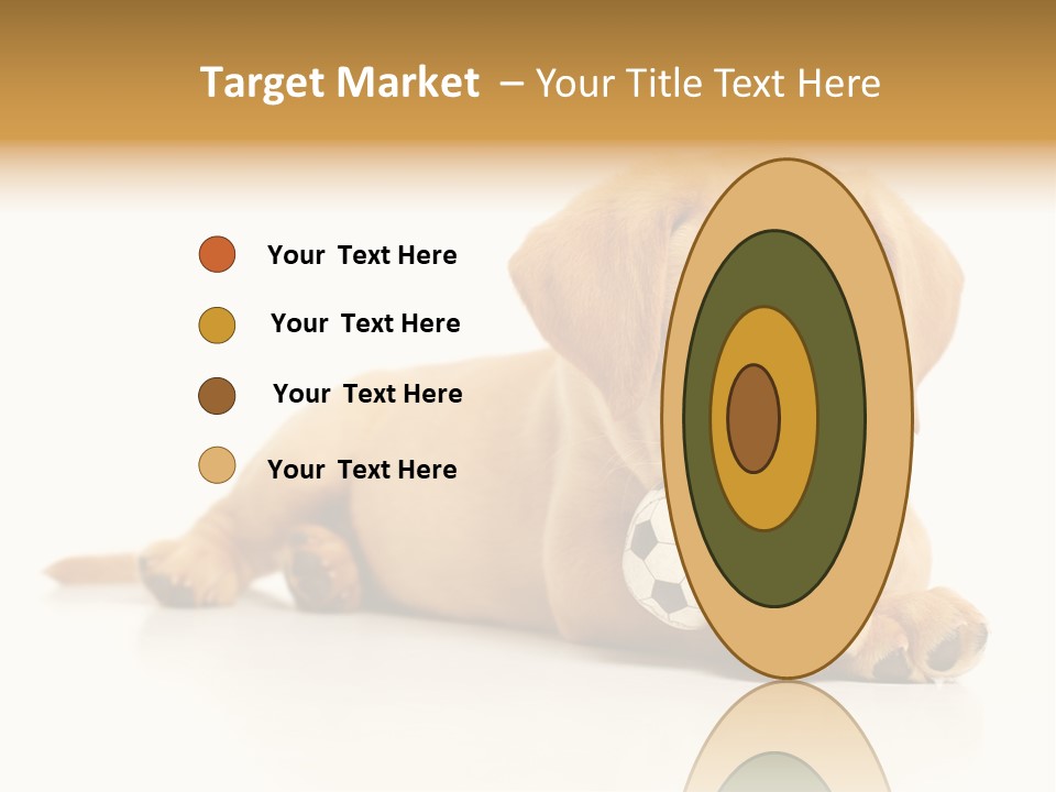 A Puppy Holding A Soccer Ball In His Mouth PowerPoint Template