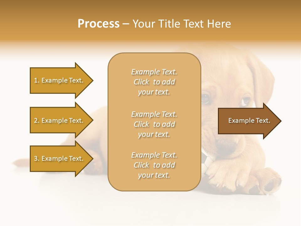 A Puppy Holding A Soccer Ball In His Mouth PowerPoint Template
