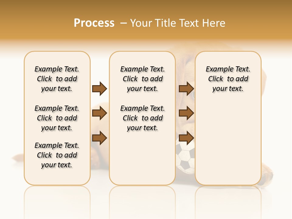 A Puppy Holding A Soccer Ball In His Mouth PowerPoint Template